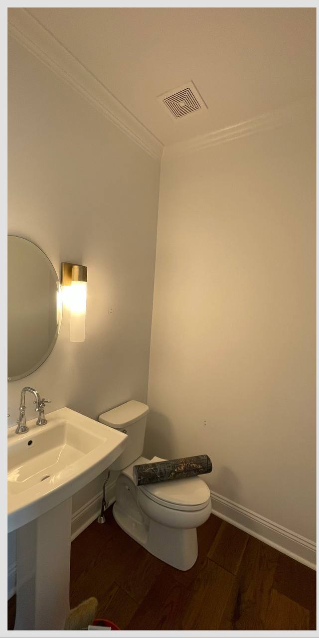 Before Powder Room Mural